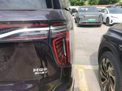 Hongqi HQ9 PHEV 2.0T AWD Business Edition - фото 8