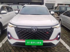 Changan CS35PLUS Blue Whale NE 1.4T DCT Premium Type - фото 3