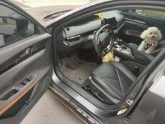 Changan UNI-V 2022 1.5T sports version - фото 14