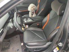 Changan UNI-V 2022 1.5T sports version - фото 8