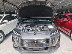 Changan Eado Blue Whale 1.5T 500Bar Premium Type - фото 16