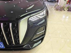 Hongqi HS5 2.0T Qixiang Pro Edition - фото 9