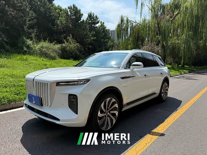 Hongqi E-HS9 660km flag collar version four seats - автомобиль из Китая