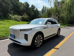 Hongqi E-HS9 660km flag collar version four seats - фото 1