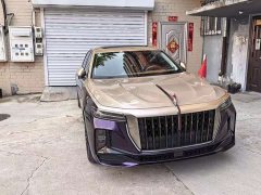 Hongqi H9 2.0T two-wheel drive Qixiang luxury business version 5 seats - фото 1