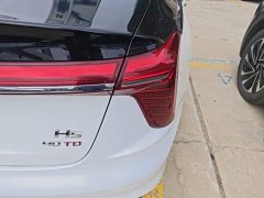 Hongqi H5 2.0T Automatic Zhilian Qichang Edition - фото 8