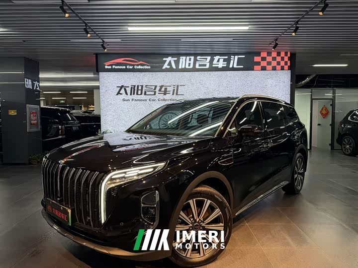 Hongqi HS7 PHEV 2.0T PHEV four-wheel drive 2 million units commemorative edition 6 seats
