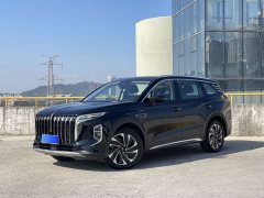 Hongqi HS7 PHEV 2.0T PHEV four-wheel drive Qichang version 6 seats - фото 1