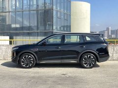 Hongqi HS7 PHEV 2.0T PHEV four-wheel drive Qichang version 6 seats - фото 5