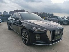 Hongqi H5 2024 2.0T Automatic Zhilianqichang Edition - фото 3