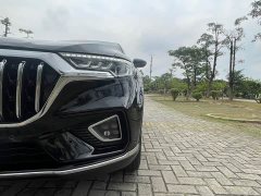Hongqi HS5 2.0T Zhilian Flagship Edition - фото 19