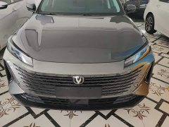 Changan Yida Blue Whale NE 1.5T GDI DCT Exclusive Type - фото 2