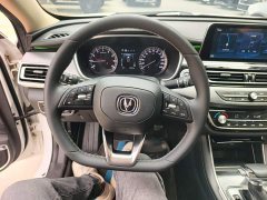Ruicheng Ruichang CC Blue Whale Edition 1.5T DCT Luxury - фото 11