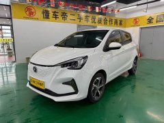 BYD E-Star Edition - фото 1
