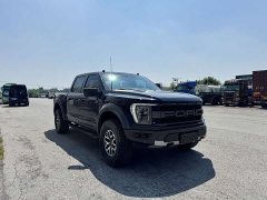 Ford F-150 Raptor 2022 3.5T Raptor - фото 3