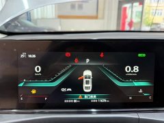 Changan EADO 2021 PLUS Blue Whale NE 1.4T GDI DCT flagship - фото 10