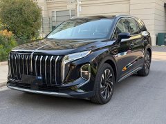 Hongqi HS7 PHEV 2.0T PHEV four-wheel drive Qichang version 6 seats - фото 1