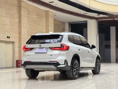 BMW X1 sDrive25Li X design package - фото 10