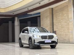 BMW X1 sDrive25Li X design package - фото 3
