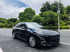 Hongqi E-QM5 560km PLUS - фото 19