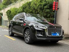 Hongqi HS5 2022 facelift 2.0T Zhilian Qixiang four-wheel drive version - фото 3