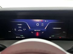 Hongqi E-HS9 690km flagship version six seats - фото 16