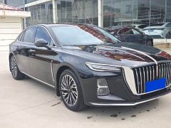 Hongqi H5 2.0T Automatic Zhilianqichang Edition - фото 3