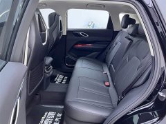 Hongqi HS3 PHEV 2024 115km Jinwei Edition - фото 18
