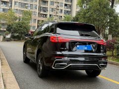 Hongqi HS5 2025 2.0T two-wheel drive Qixiang Pro version - фото 18