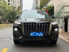 Hongqi HS5 2025 2.0T two-wheel drive Qixiang Pro version - фото 2