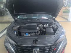 Changan Eado 2024 PLUS Blue Whale NE 1.4T GDI DCT High-Energy Edition - фото 20