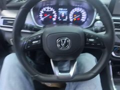 Ruicheng CC Blue Whale Edition 1.5T DCT Luxury - фото 11