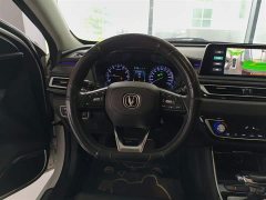 Ruicheng CC Blue Whale Edition 1.5T DCT Luxury - фото 11