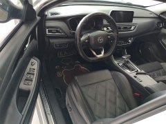 Ruicheng CC Blue Whale Edition 1.5T DCT Luxury - фото 16