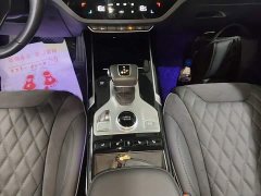 Hongqi HS5 2019 2.0T Smart Flagship Four-Wheel Drive - фото 14