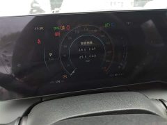 Ruicheng PLUS 1.5T DCT premium - фото 12
