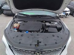 Ruicheng PLUS 1.5T DCT premium - фото 20