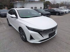 Ruicheng PLUS 1.5T DCT premium - фото 4