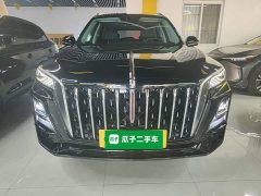 Hongqi HS5 2023 Qixiang Pro Edition - фото 3