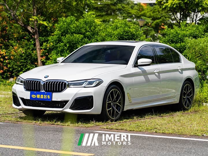 BMW 5 Series Facelift II 530Li Luxury M Sport Package - автомобиль из Китая