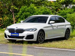 BMW 5 Series Facelift II 530Li Luxury M Sport Package - фото 1