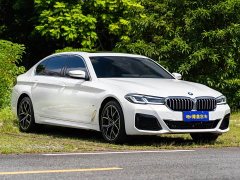 BMW 5 Series Facelift II 530Li Luxury M Sport Package - фото 3