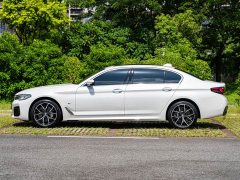 BMW 5 Series Facelift II 530Li Luxury M Sport Package - фото 4