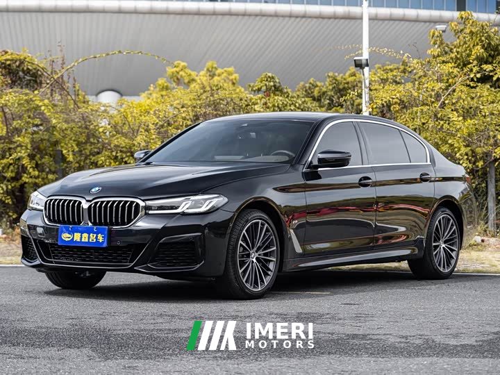 BMW 5 Series 530Li leading M sports package - автомобиль из Китая