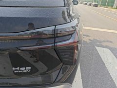 Hongqi HS3 PHEV 117km Jinwei Edition - фото 8