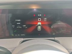 Hongqi E-HS9 2022 690km Qixiang Edition Six-Seater - фото 12