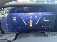 Hongqi HS5 2.0T 4WD Qiling Pro Edition - фото 12