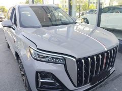 Hongqi HS5 2.0T 4WD Qiling Pro Edition - фото 4