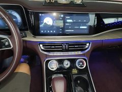Hongqi H9 2.0T Smart connection Qichang Edition - фото 13