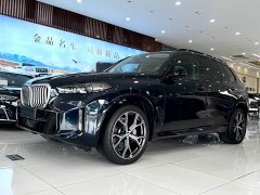 BMW X5 2023 xDrive 30Li Exclusive M Sports Night Package - фото 2